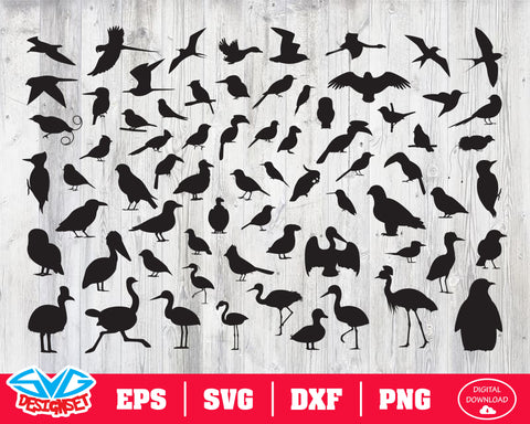 Bird Svg, Dxf, Eps, Png, Clipart, Silhouette and Cutfiles - SVGDesignSets