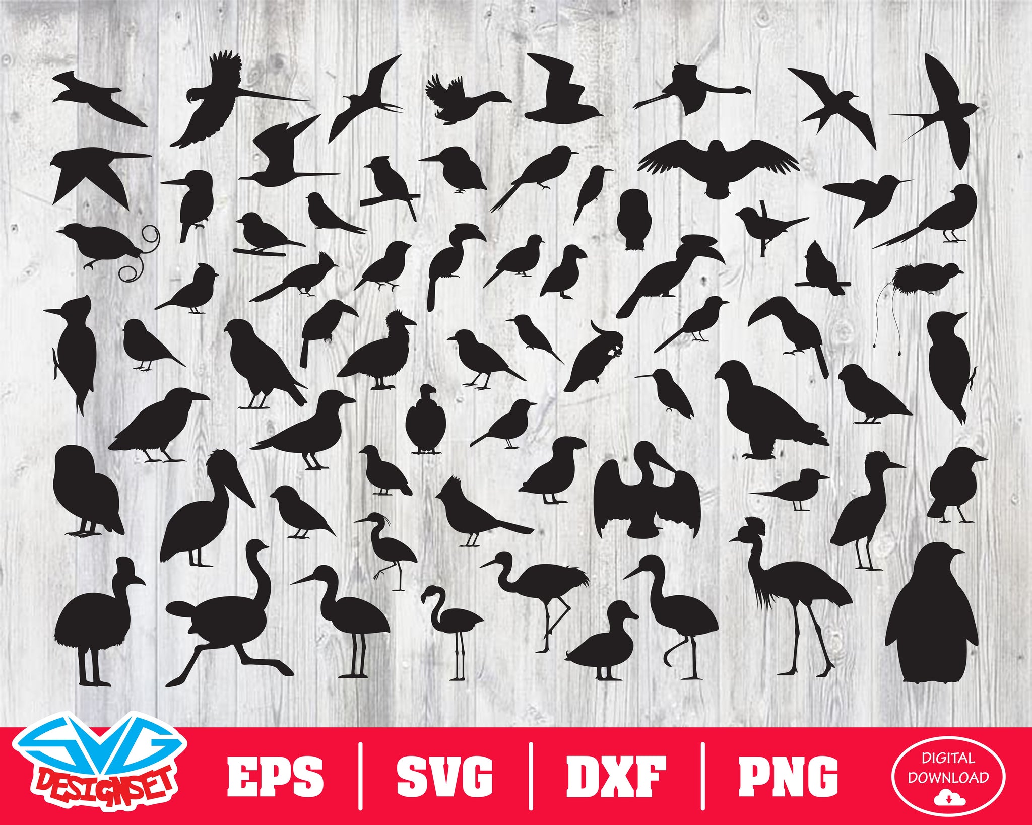 Bird Svg, Dxf, Eps, Png, Clipart, Silhouette and Cutfiles - SVGDesignSets