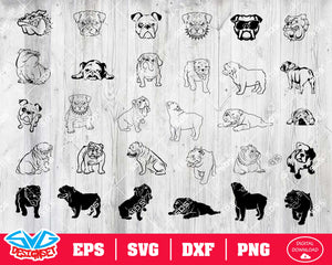 Bulldog Svg, Dxf, Eps, Png, Clipart, Silhouette and Cutfiles - SVGDesignSets