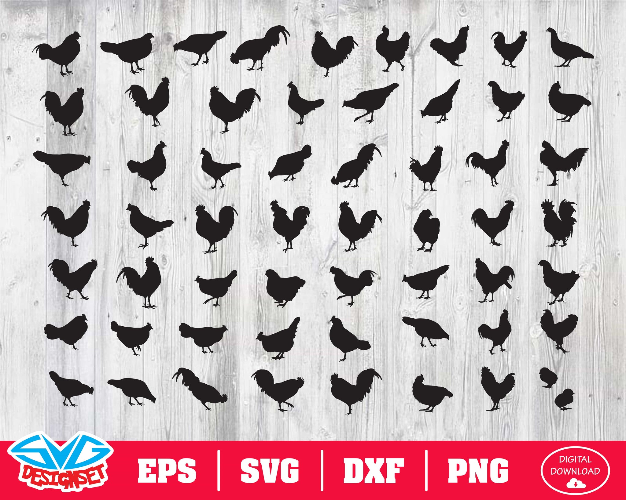Chicken Svg, Dxf, Eps, Png, Clipart, Silhouette and Cutfiles - SVGDesignSets