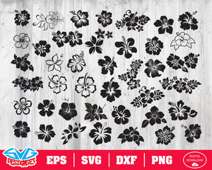 Hibiscus Svg, Dxf, Eps, Png, Clipart, Silhouette and Cutfiles #1 - SVGDesignSets