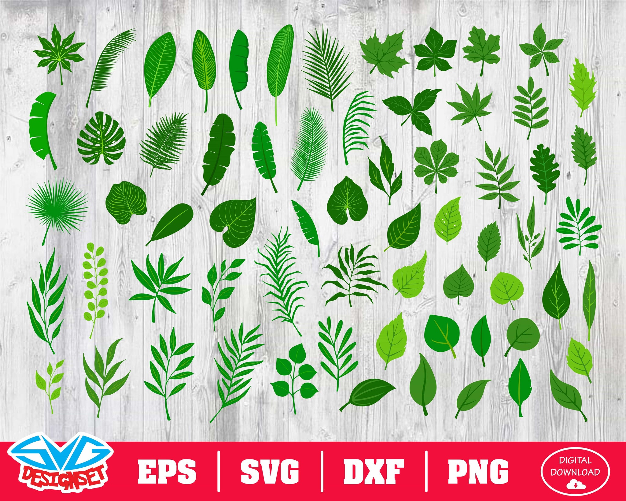 Tropical leaves Svg, Dxf, Eps, Png, Clipart, Silhouette and Cutfiles - SVGDesignSets
