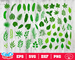Tropical leaves Svg, Dxf, Eps, Png, Clipart, Silhouette and Cutfiles - SVGDesignSets